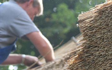 professional Blowick thatchers